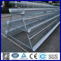 automatic chicken layer cage for sale in philippines/chicken cage system